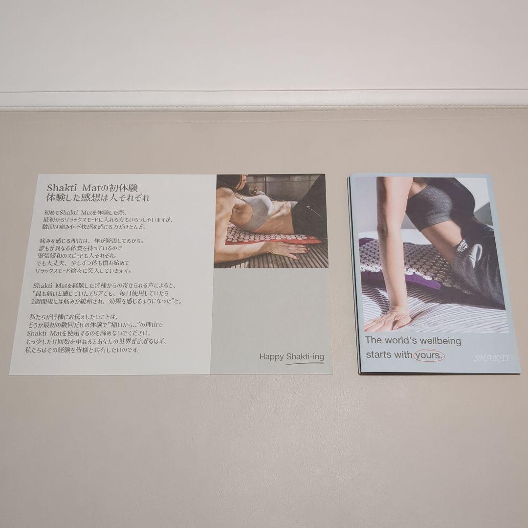 正規品】シャクティマット セット Level3 ADVANCED - メルカリ