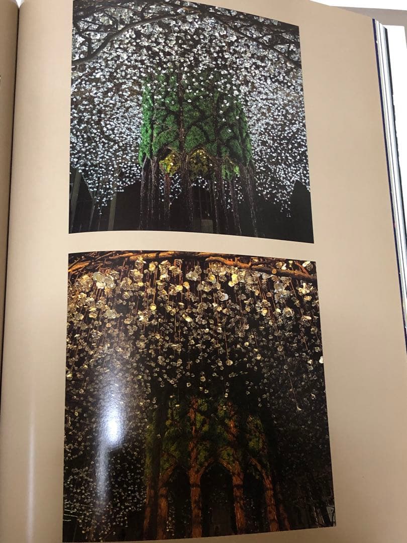 DANIEL OST ダニエル・オスト フラワーアート豪華写真集 美しい写真