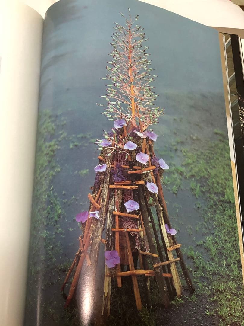 DANIEL OST ダニエル・オスト フラワーアート豪華写真集 美しい写真