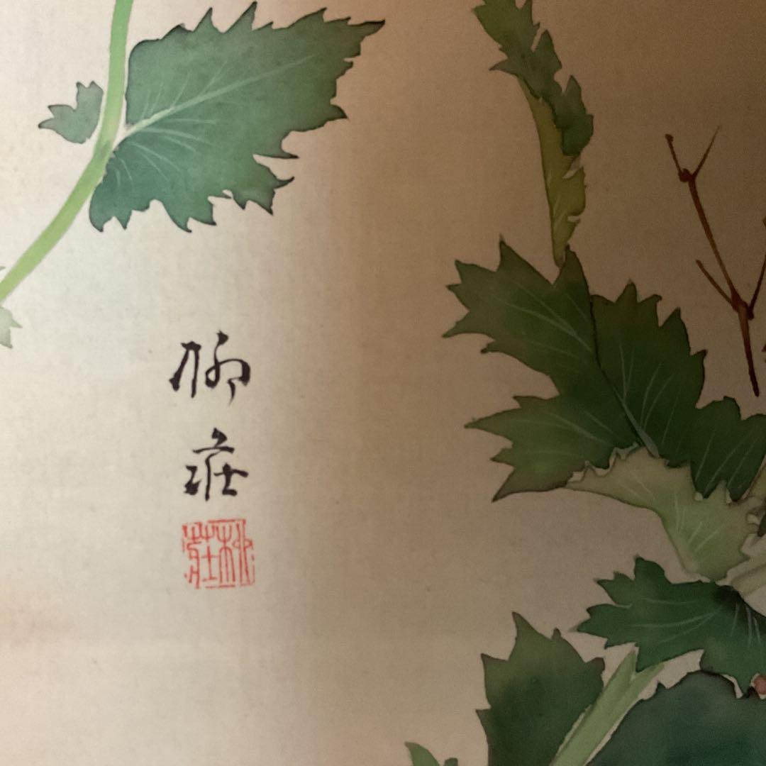 梅 荘 作 絹本 彩色 密画 《 芥子の花図 》 共箱 軸先鹿軸