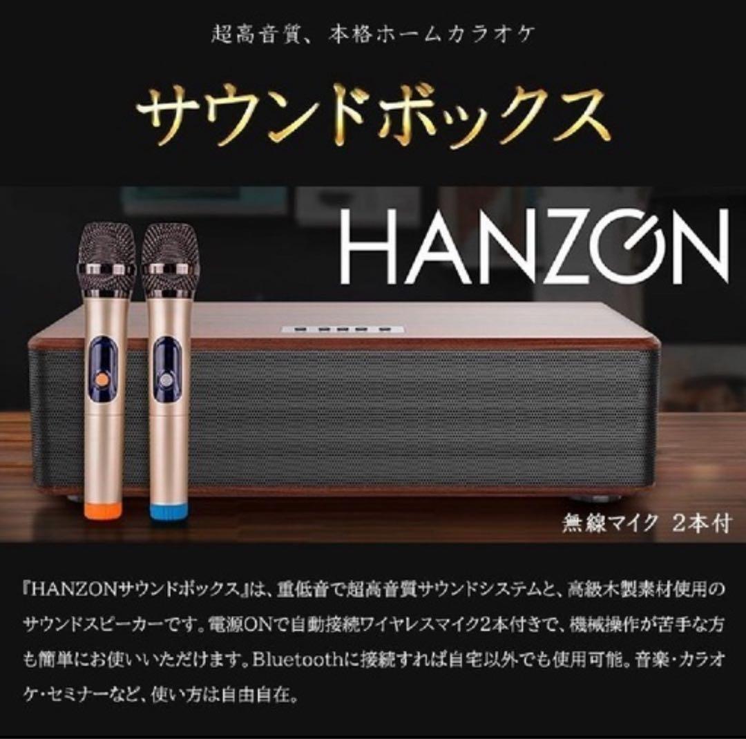 HANZON Sound Box 無線マイク2本付き 自宅カラオケ