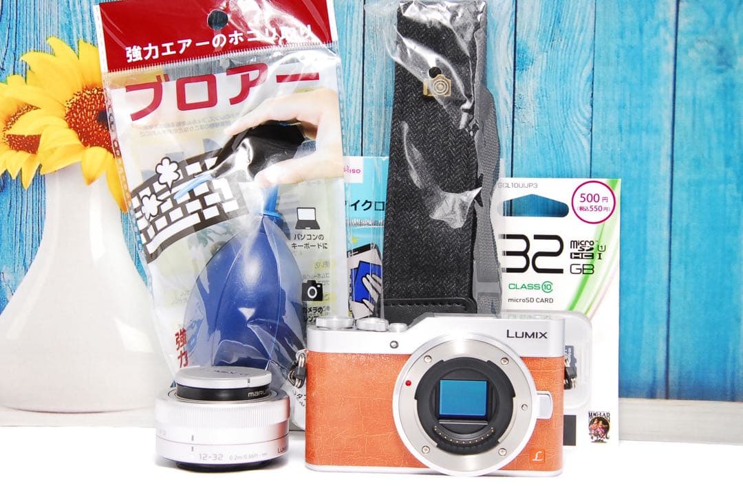 ショット数611回】LUMIX GF9 SNS Wi-Fi チルト ミラーレス - メルカリ