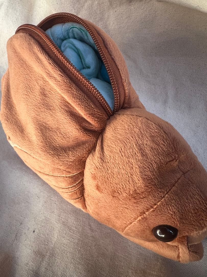 昆虫MANIAC マニアック セミの抜け殻からセミ ぬいぐるみ 科学博物館