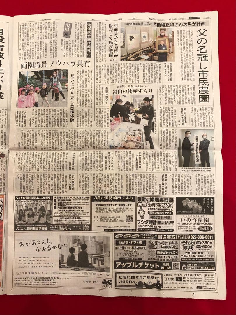 こころの風景コレクション【中嶋憲レイク・ルーイズの朝】60％お値引き！！