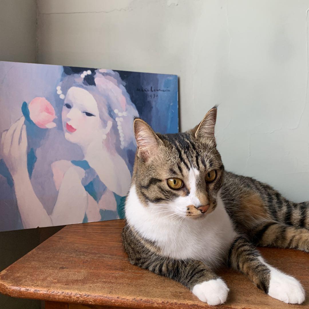 マリーローランサン バラの女 女流画家 油画 パステルカラー 人物画