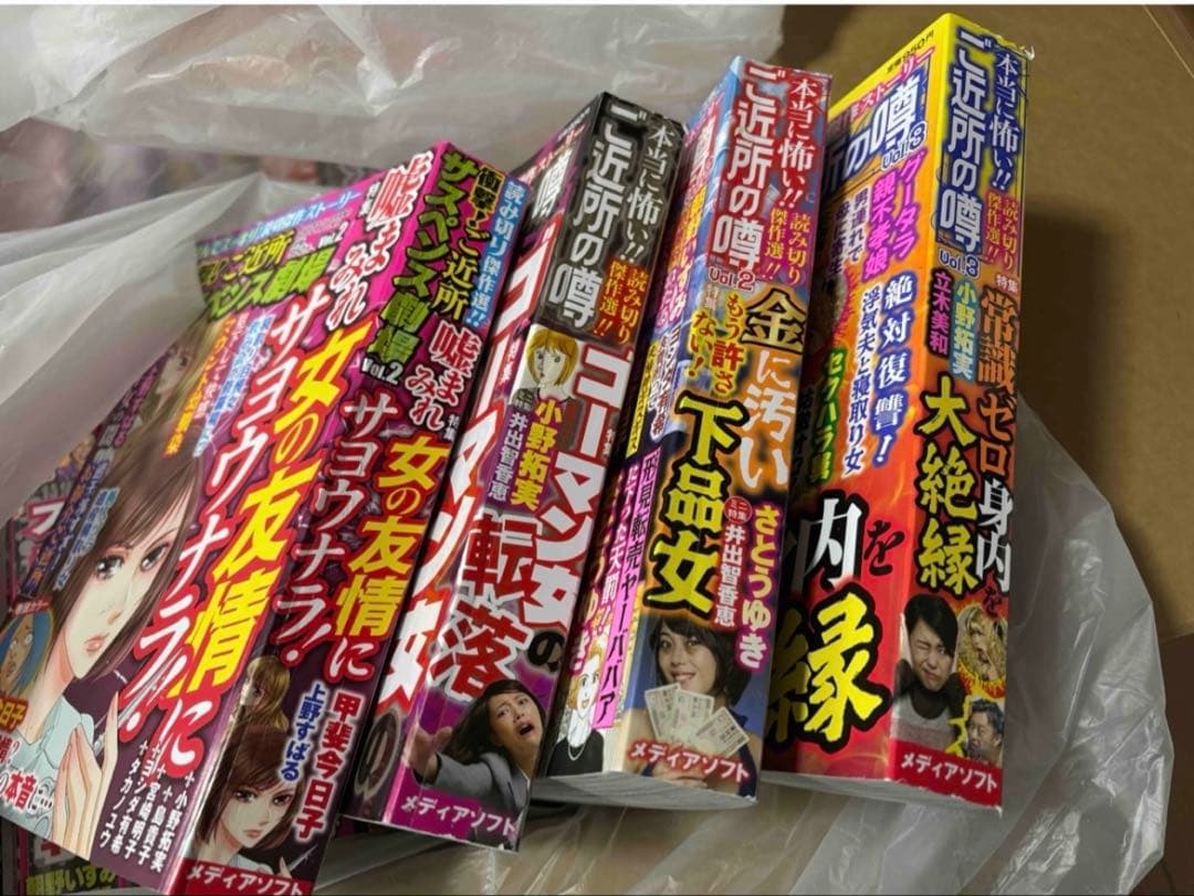 レディースコミック まとめ売り24冊