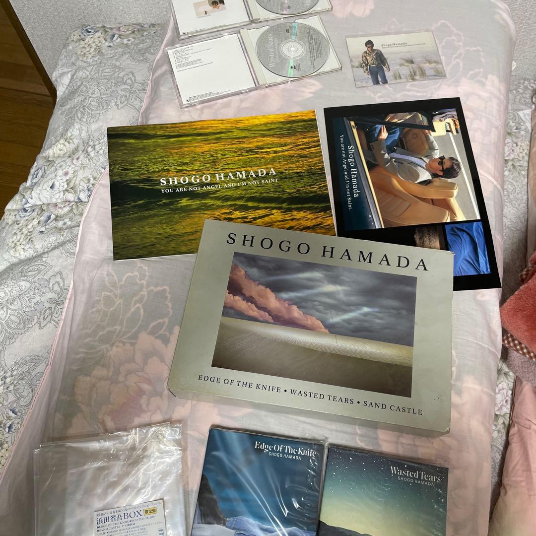 浜田省吾/BOX 61LJ9V8XRmL._AC_UF350,