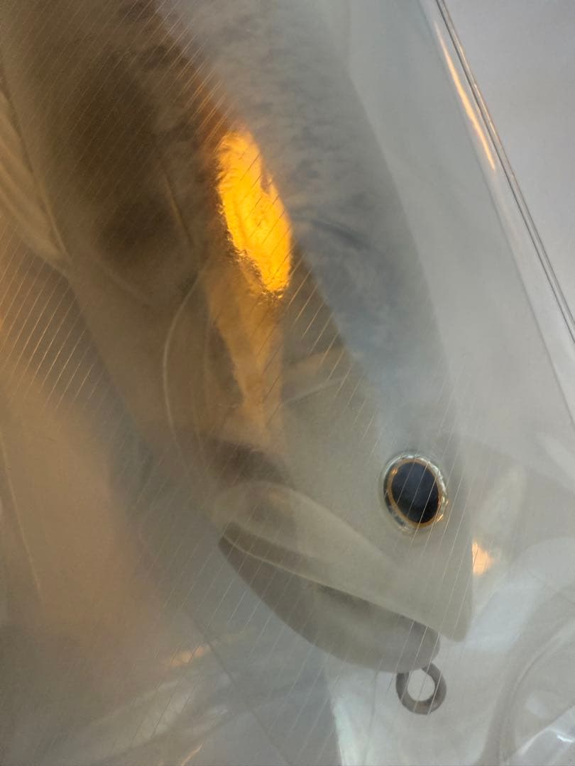 スライドスイマー300 釣りフェス限定 ホワイトバスデプス 新品未開封