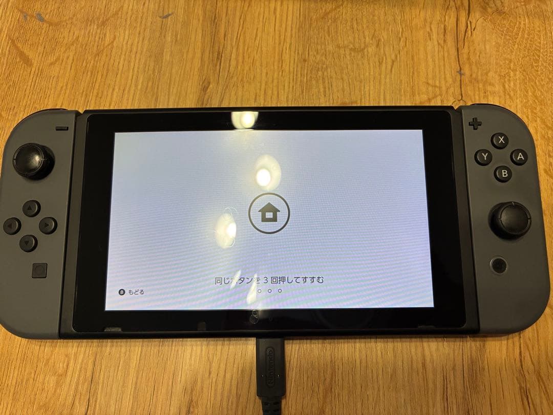 Nintendo Switch 本体 グレー おまけ付 説明必読 おまけ付 本体 グレー