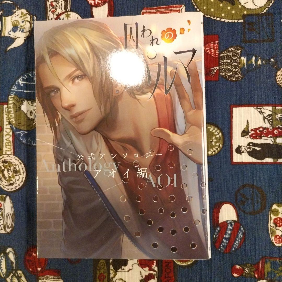 囚われのパルマ アンソロジー3冊セット