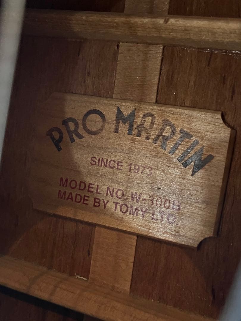 PRO MARTIN W-300Bアコースティックギターエレアコ仕様 ビンテージ