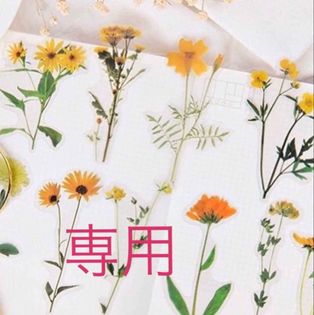 【　専用　】 グッチ×アディダス ZX8000 23SS スエード×キャンバス スニーカー 24.5