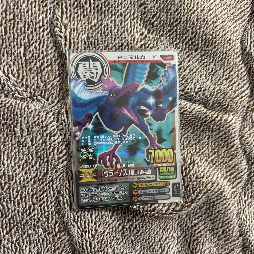 ラタトスク初購入の方プロフィール必読！様専用】アニマルカイザー