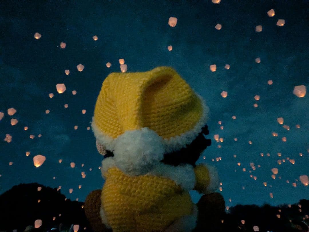 ももれもん様へのオーダー注文用の参考写真☆ （購入出来ません!） 同じ物２体☆