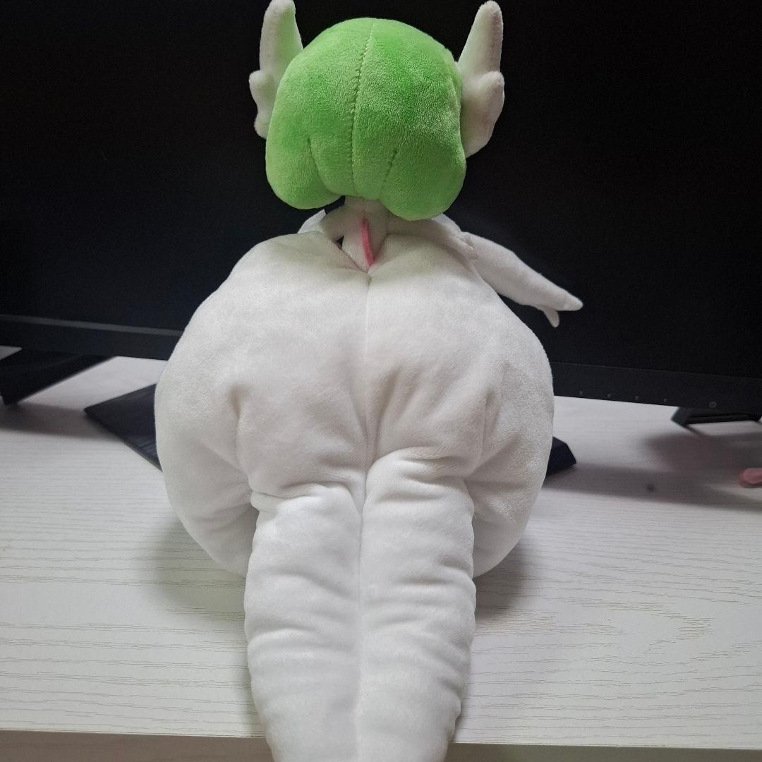 希少品 メガサーナイト ぬいぐるみ 2種セット ポケモン - メルカリ