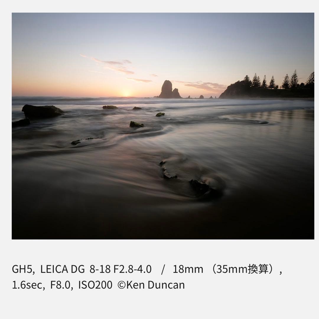 【極美品】LUMIX VARIO ELMARIT 8-18mm F2.8-4.0