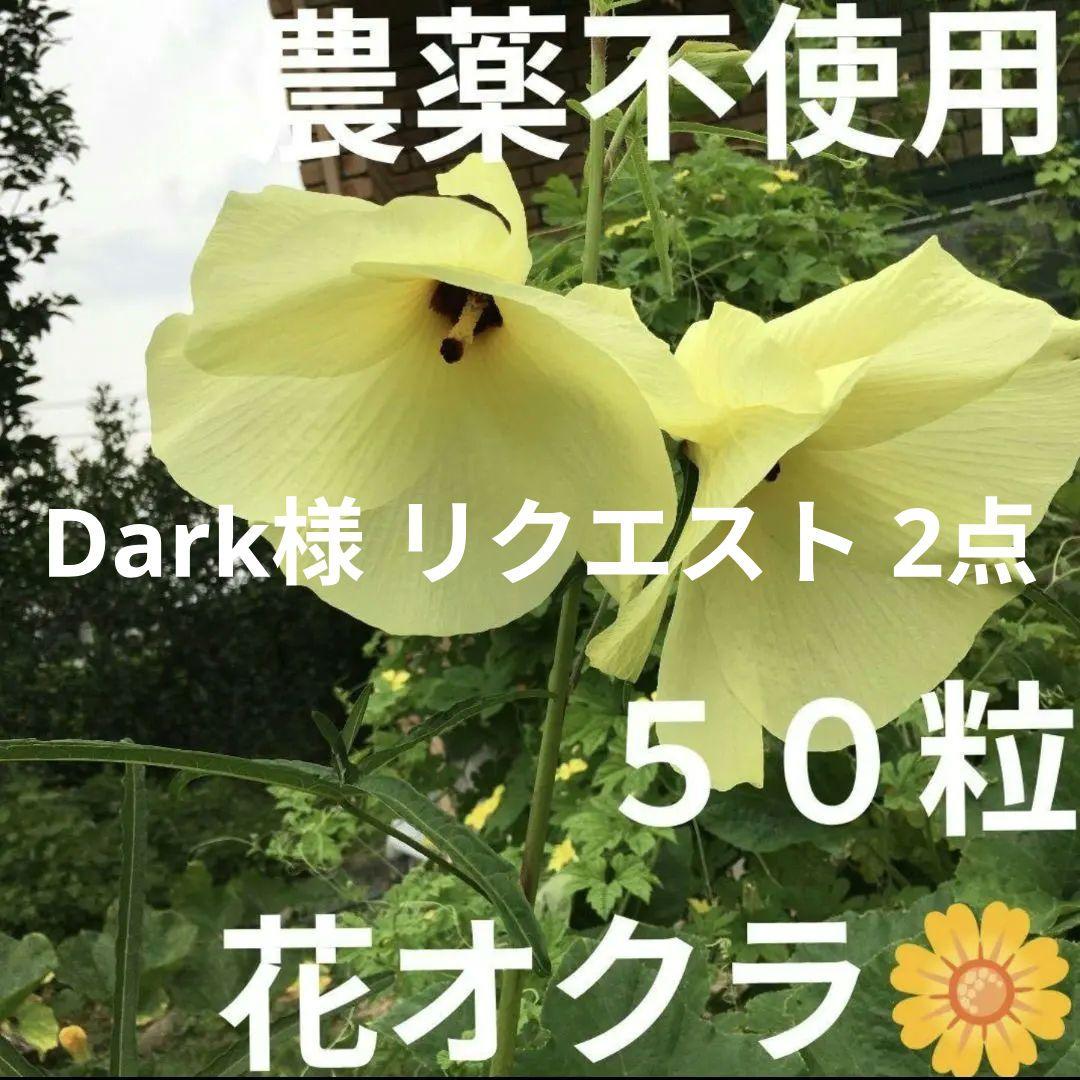 Dark様 リクエスト 2点 まとめ商品 - メルカリ