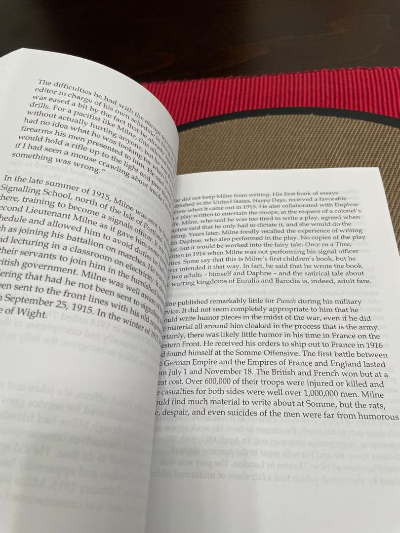 洋書 THE SANITY OF INSANITY by PAUL BRODY