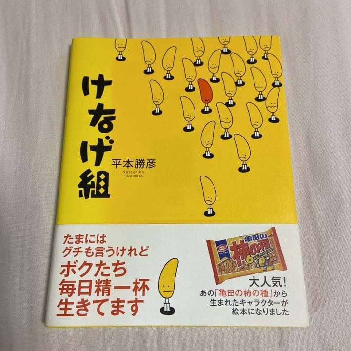 けなげ組 平本勝彦 本 - メルカリ