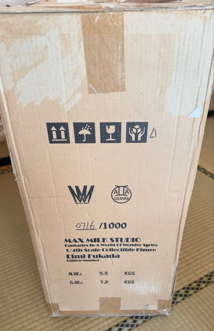 新品　深田えいみ『異世幻想』魅魔　フィギュア　Succubus サキュバス