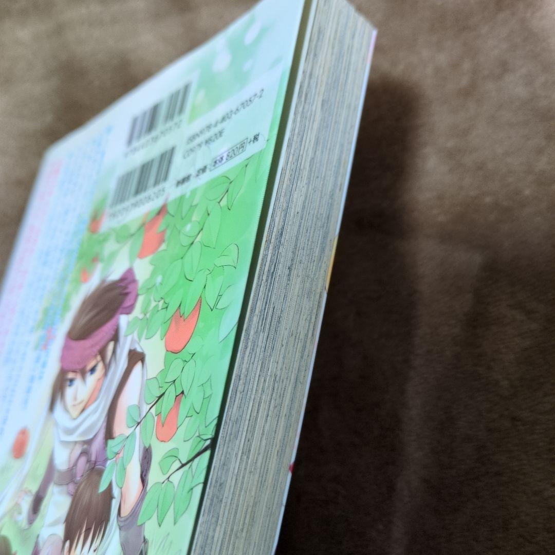 ルーンファクトリー2 星降る森のおこちゃまツインズ♪ - メルカリ