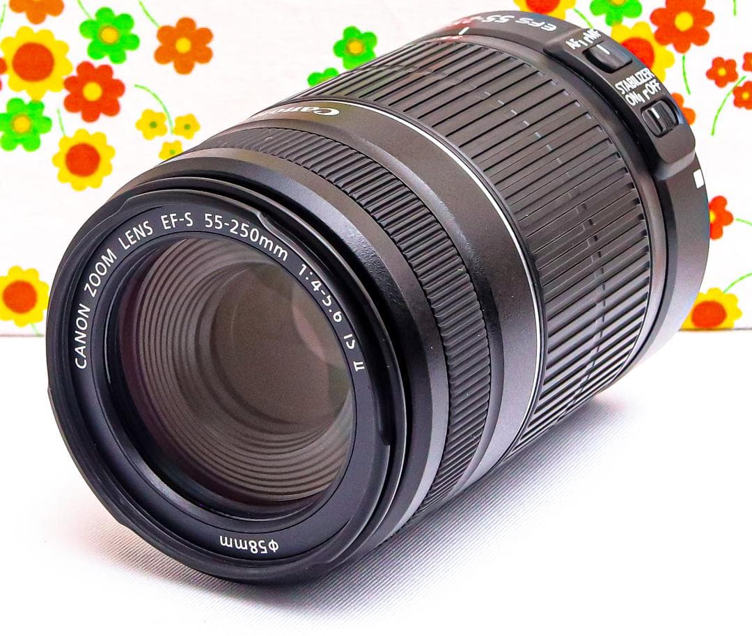 Canon EF-S 55-250mm IS Ⅱ☆手振れ補正☆望遠レンズ Amazon.com : Canon EF-S 55-250mm f/4.0-5.6 is II Telephoto Zoom