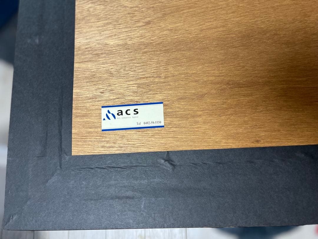 希少価値の黒豹】シムシメール 「未来を探し求めて」美品 ジークレー