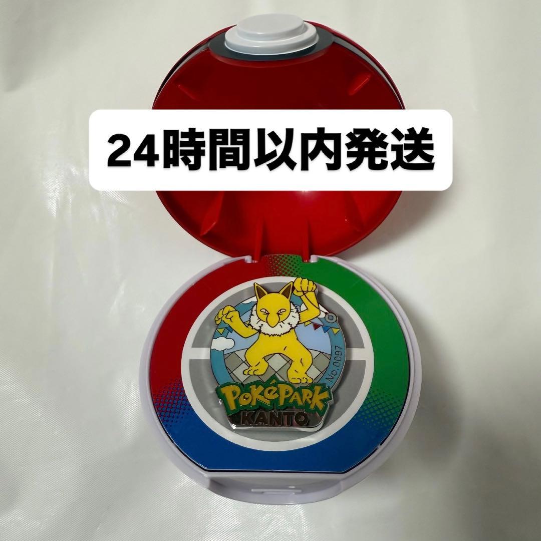 ポケパーク 限定 ピンズ ピンバッジ スリーパー Pokemon - メルカリ