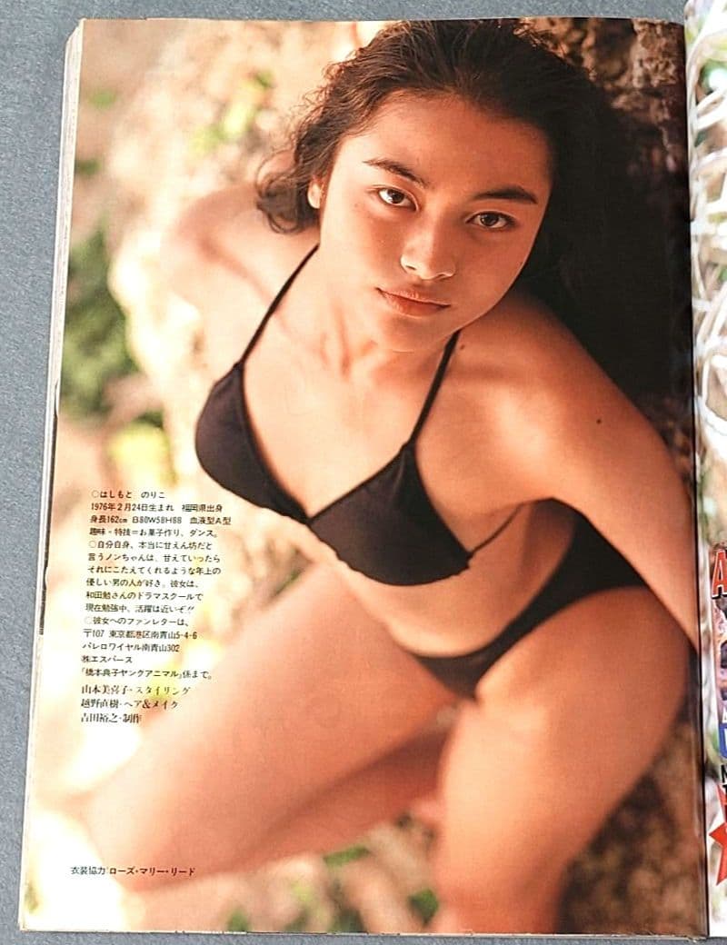 ヤングアニマル1995年4号/ベルセルク第52話/橋本典子表紙&水着グラビア