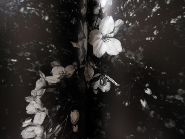 ANGO 森山大道 Daido Moriyama 直筆サイン入り - メルカリ