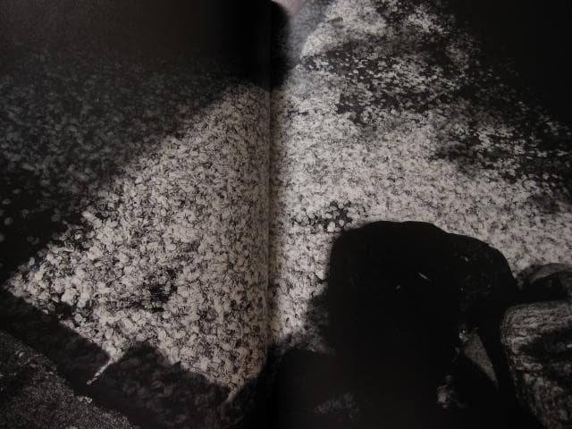 ANGO 森山大道 Daido Moriyama 直筆サイン入り - メルカリ