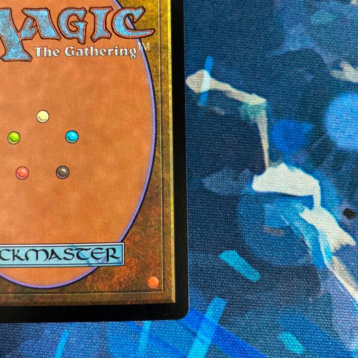 タールルームの勇士ターンガース、絵違い日本語FoilMTG タールルームの