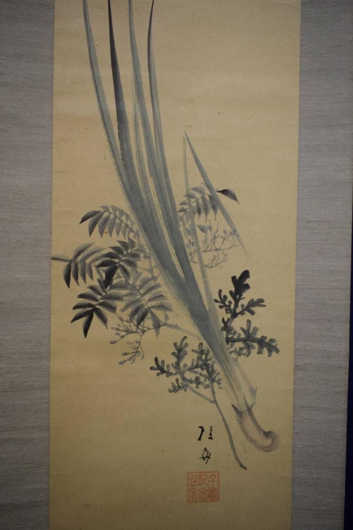 真作/広島県/福山市/羽田桂舟/菖蒲図/桐題箱付/布袋屋