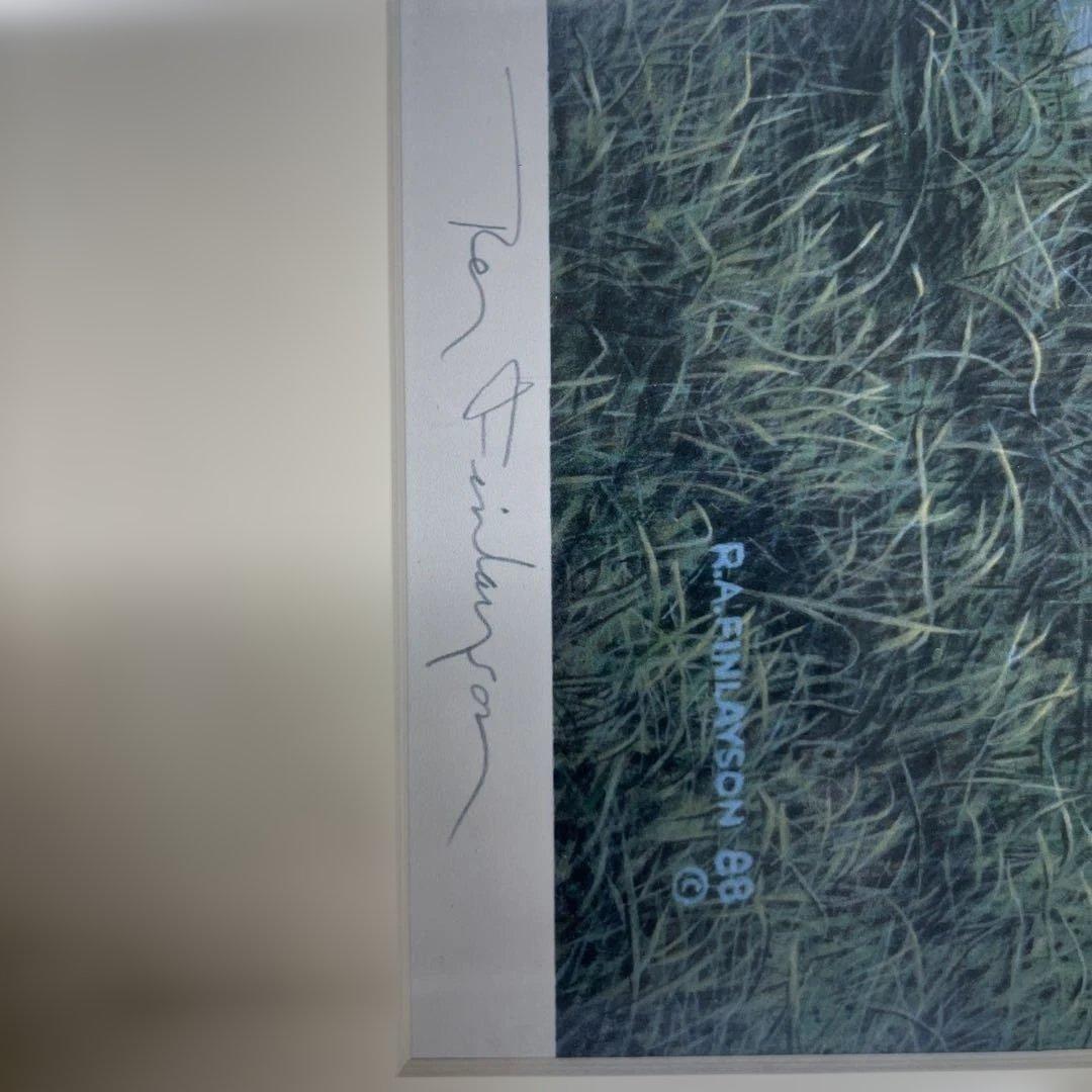 R.A.FINLAYSON 額装絵画 横70cm×縦55cm