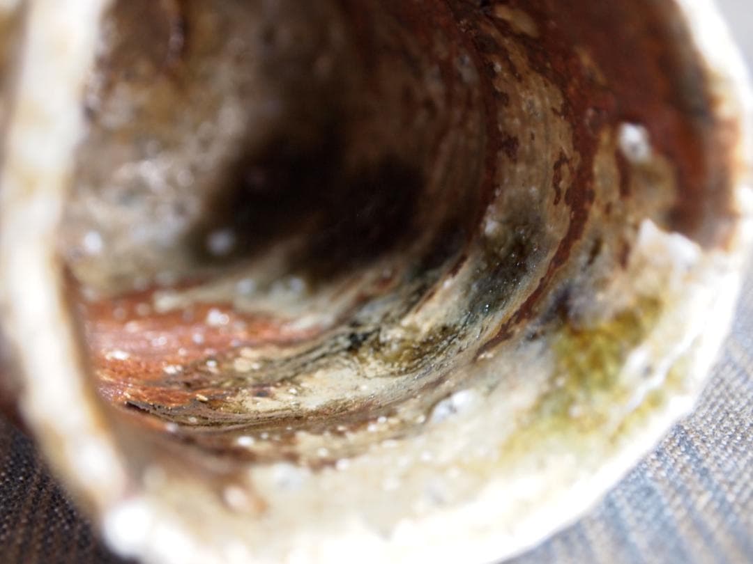 新作★迫能弘【師：辻清明】★赤信楽《窯変》酒器★ビードロ