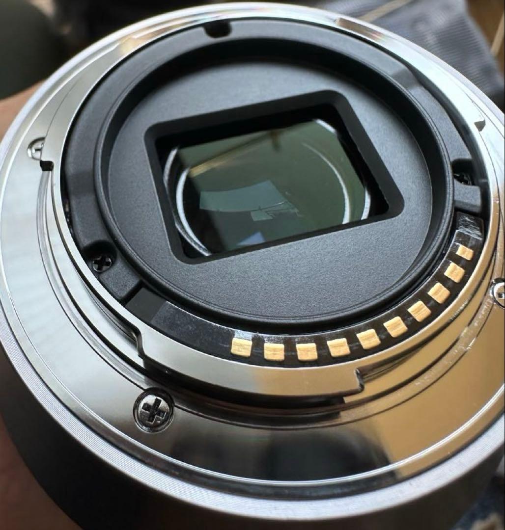 【動作品】SONY NEX-VG20 + E18-200mm F3.5-6.3