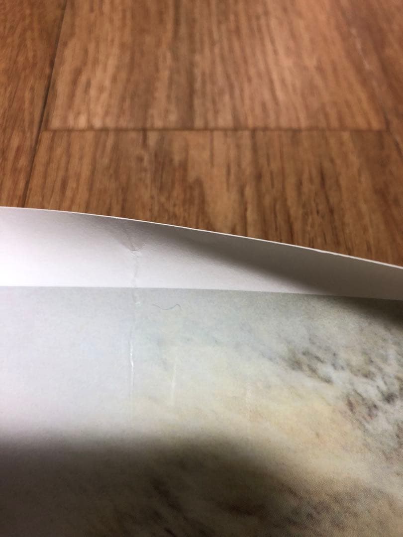 非売品 salyu 3rdシングル「peaty」 販促ポスターB2 - メルカリ