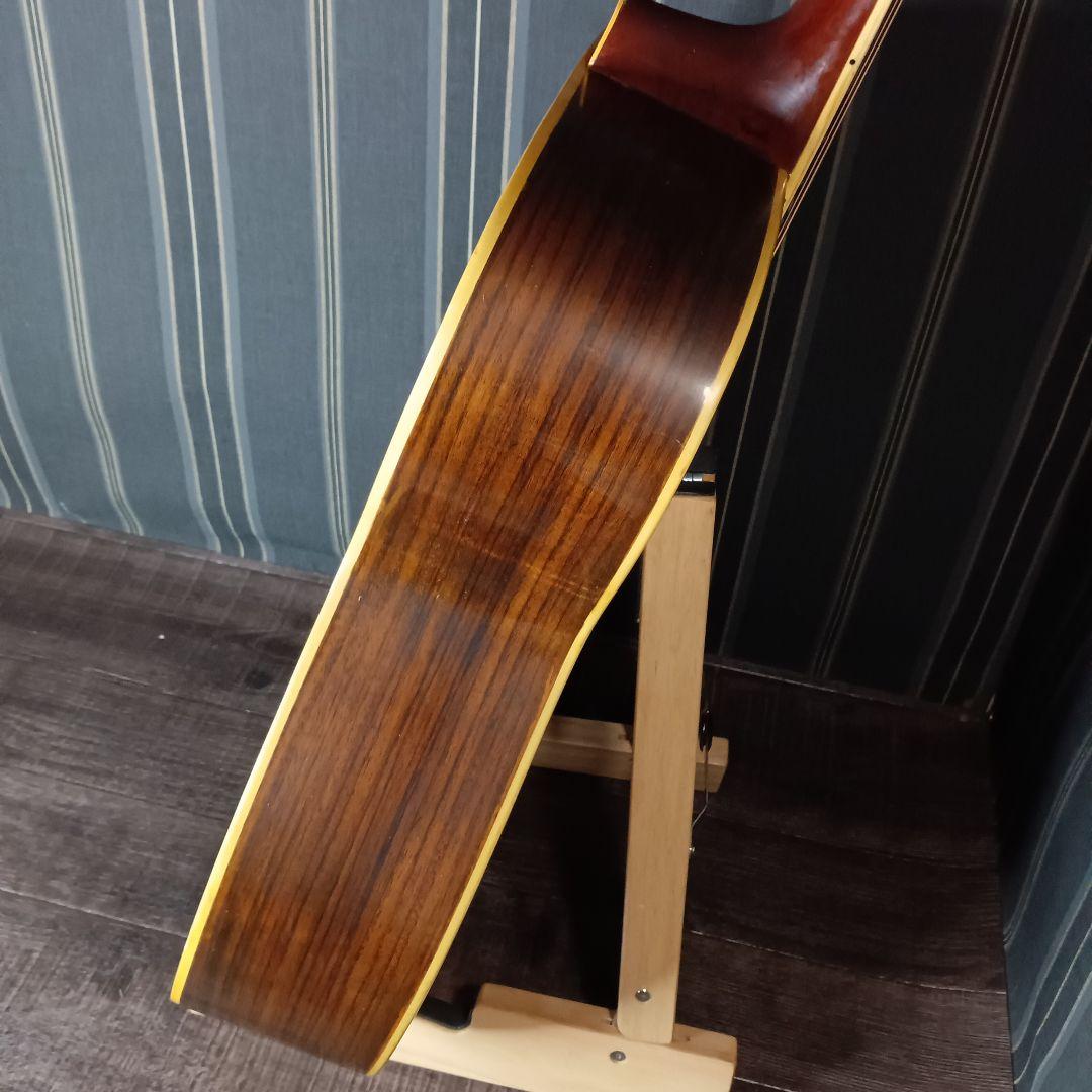 常田大希使用モデル morrisアコギ F-20 ギター KingGnu - メルカリ