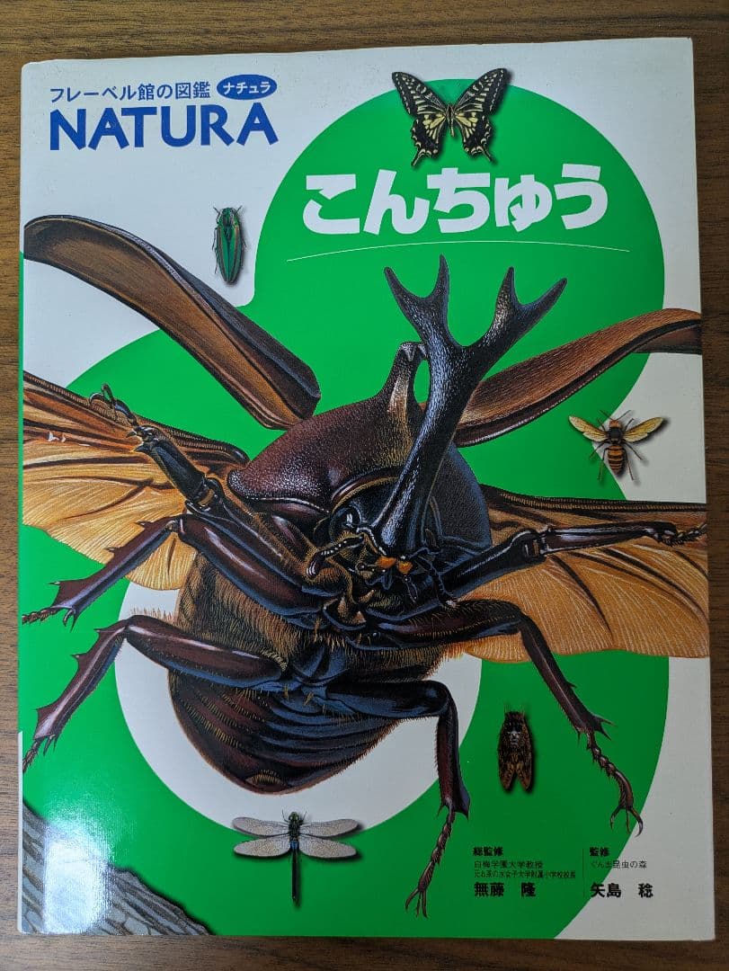 NATURA 図鑑 フレーベル館 12巻セット - メルカリ