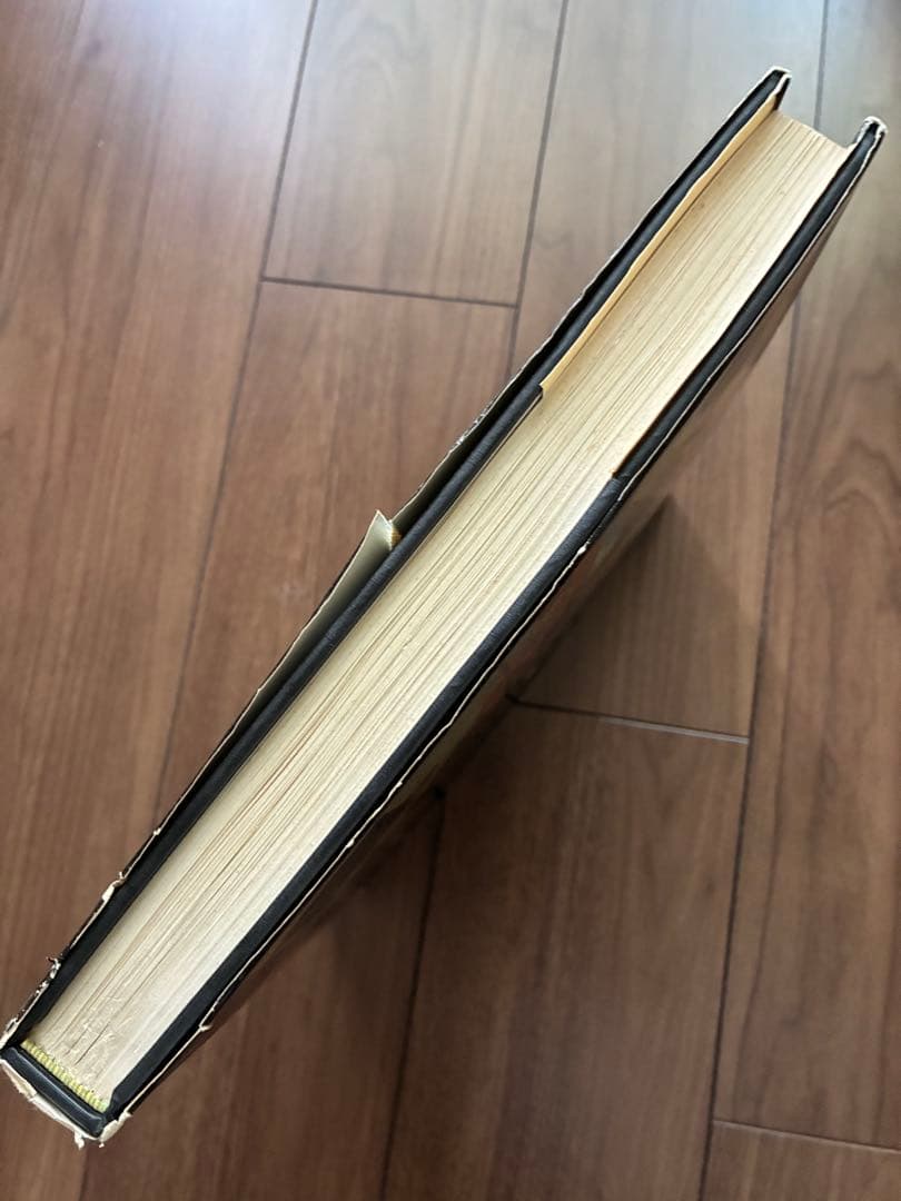 James Ensor by Paul Haesaerts アンソール画集 - メルカリ