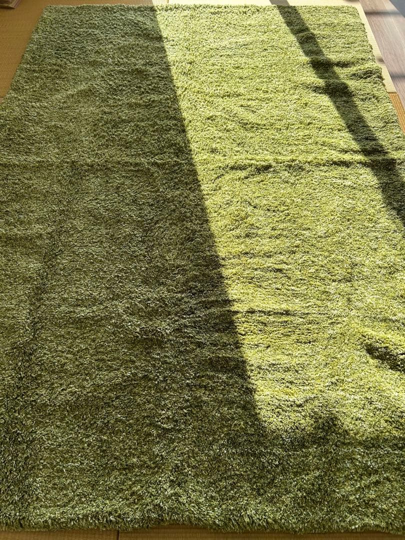 ラグ・カーペット(緑) 緑のラグのおすすめ人気ランキング【2026年1月】 | マイベスト