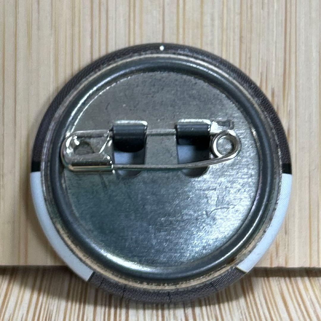 ポケットモンスター メガサーナイト 色違い 缶バッジ 希少品 - メルカリ