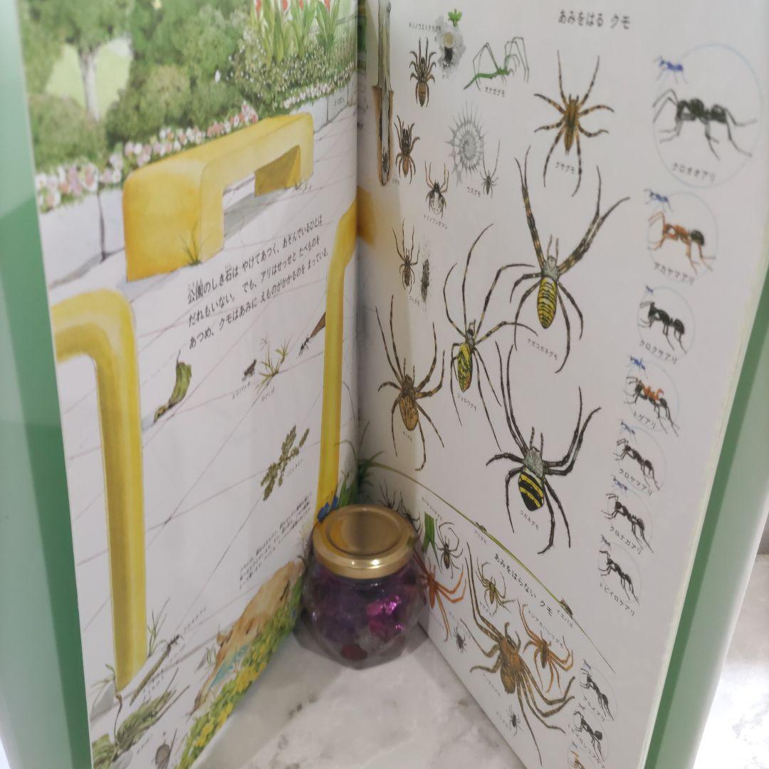 夏の虫 夏の花 645種の生きもの - メルカリ