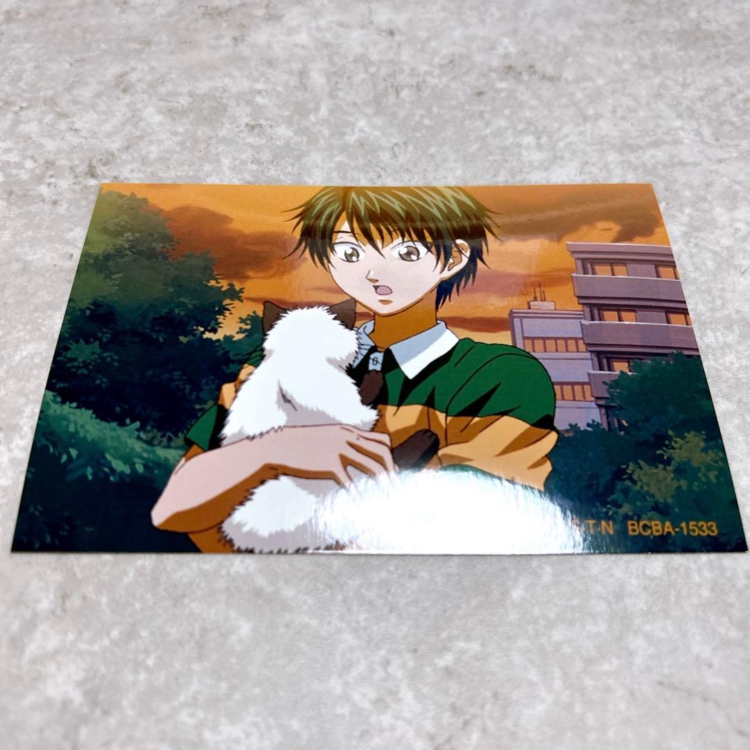 テニスの王子様 テニプリ 非売品 ブロマイド スナップ写真 越前