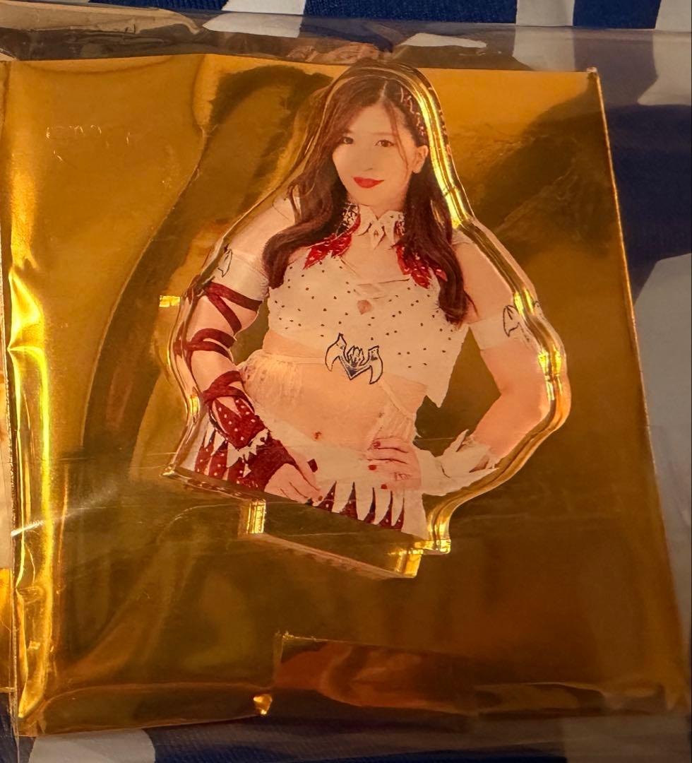 女子プロレス マリーゴールド アクリルスタンド 青野未来 写真集 2点