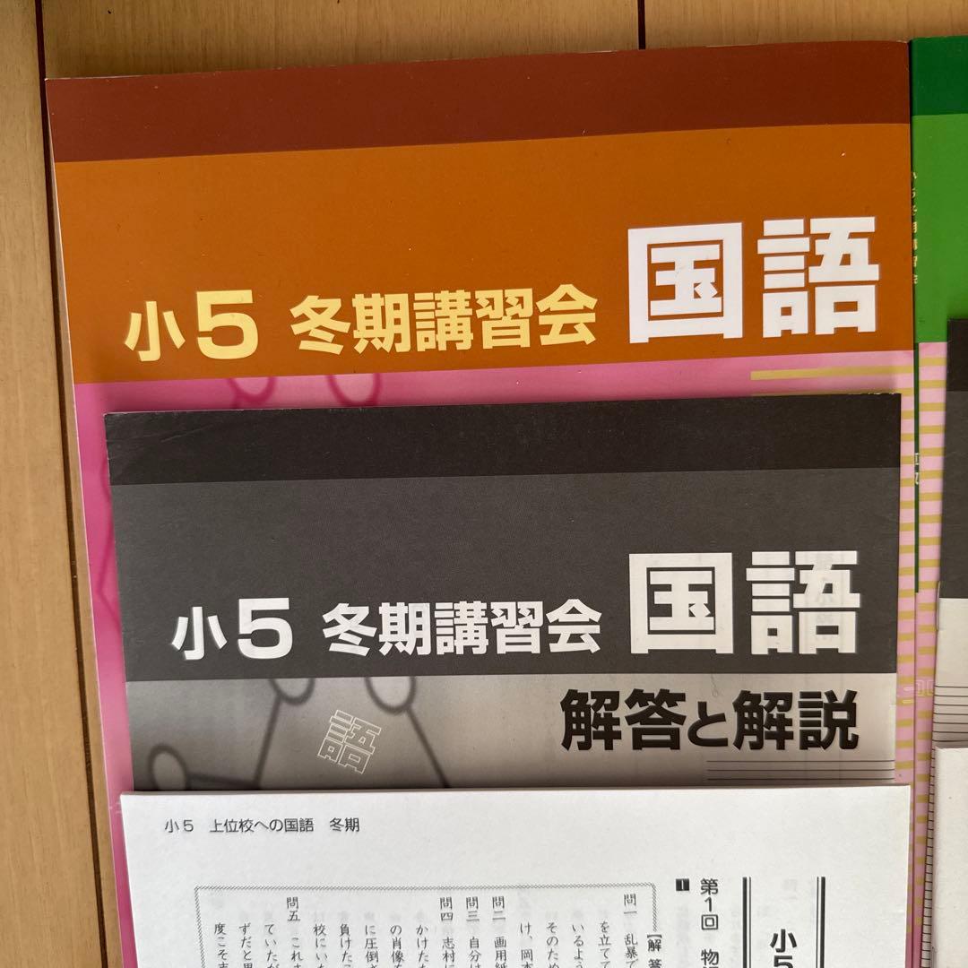 早稲田アカデミー】 小5 冬期講習 早稲アカ上位校5年生 - メルカリ