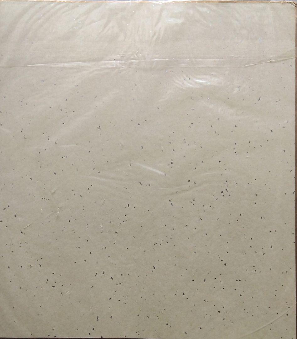 元・光GENJI 赤坂晃 直筆サイン色紙 - メルカリ