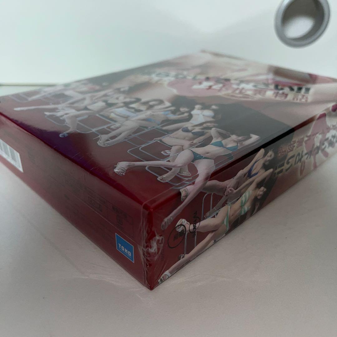 撮らないで下さい!!グラビアアイドル裏物語 DVD-BOX〈6枚組〉