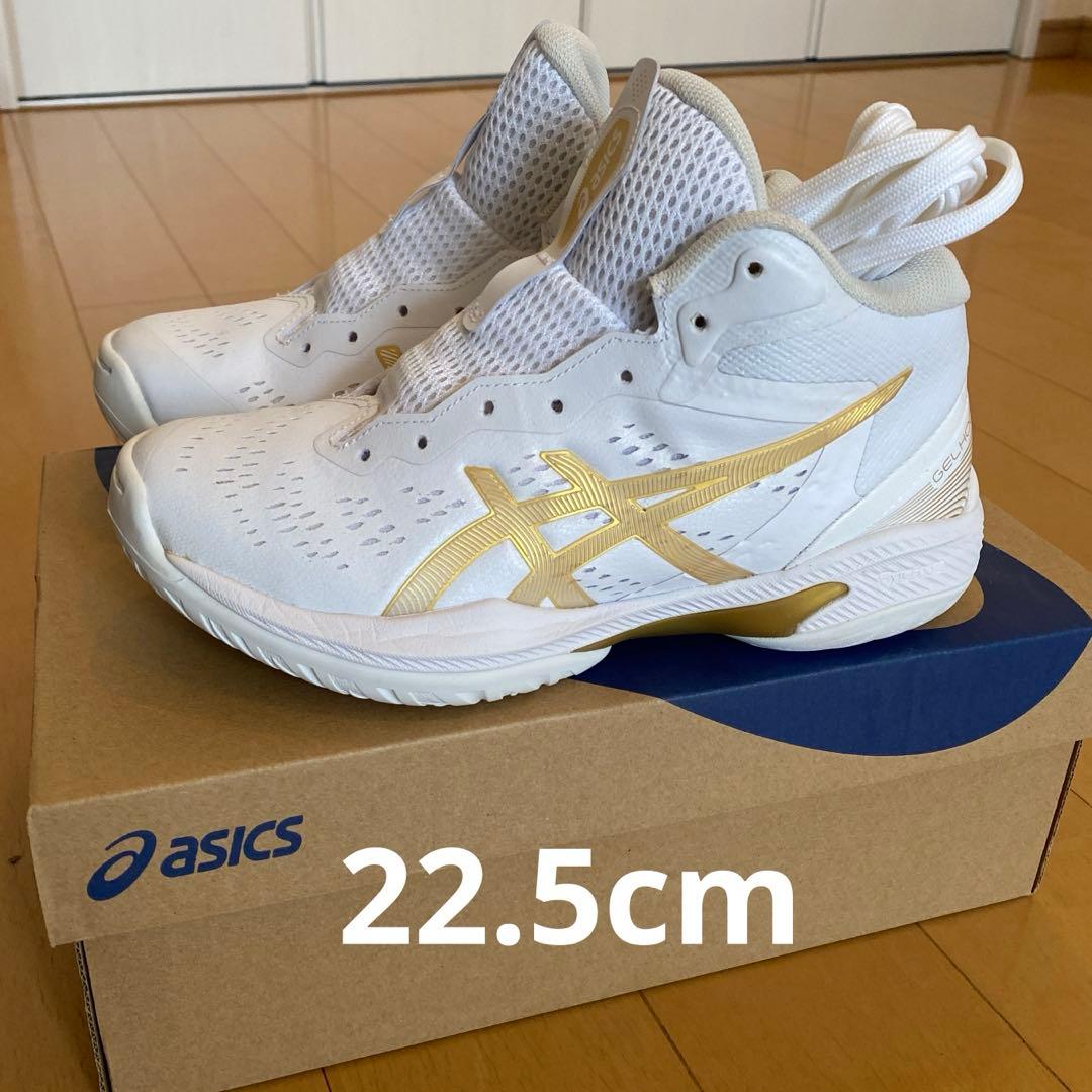 新品 希少 アシックス GELHOOP V16 ゲルフープ 限定カラー バッシュ ASICS（アシックス） GELHOOP V16 ゲルフープ V16 メンズ レディス
