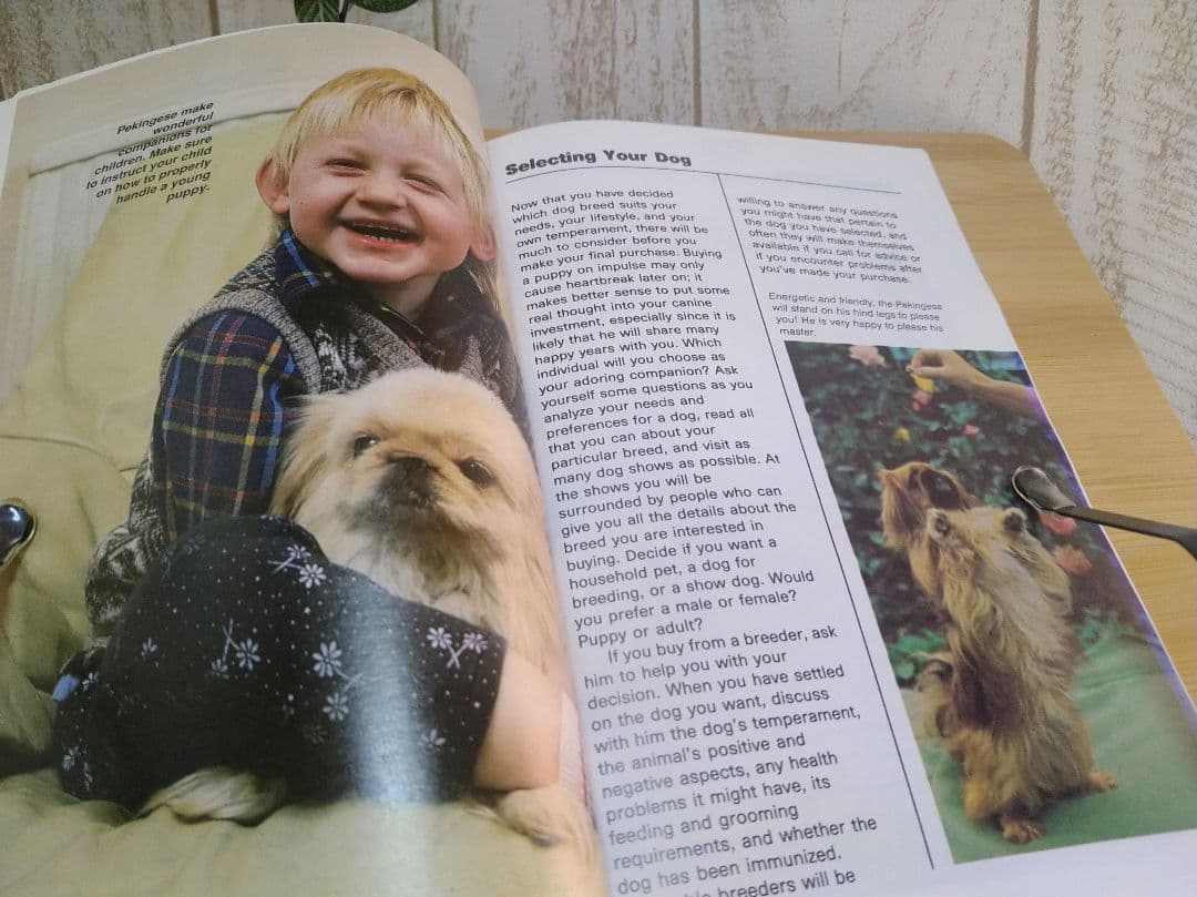ペキニーズ書籍4冊セット 本 洋書 写真 pekingese PEKINGESE - メルカリ